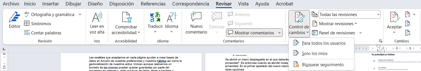 Control de cambios en Word