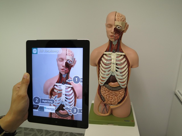 En la imagen se muestra el cuerpo humano visto a través de una tableta