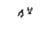 Animated Gif: Bats1