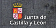 Junta de Castilla y León. Este enlace se abrirá en una ventana nueva