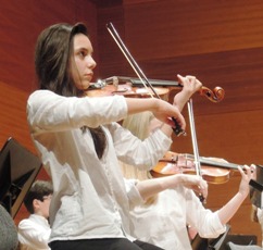 Imagen violín