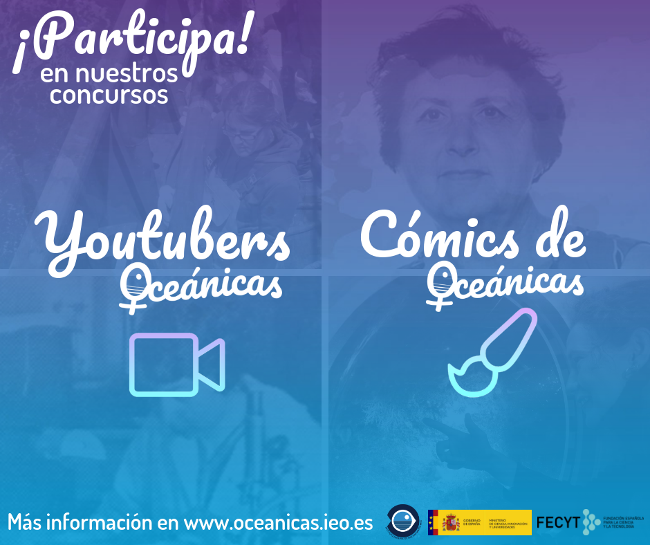 Flyer Concursos