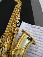 Imagen saxo