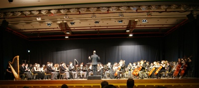 Imagen concierto