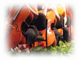 violonchelos