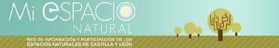 imagen decorativa