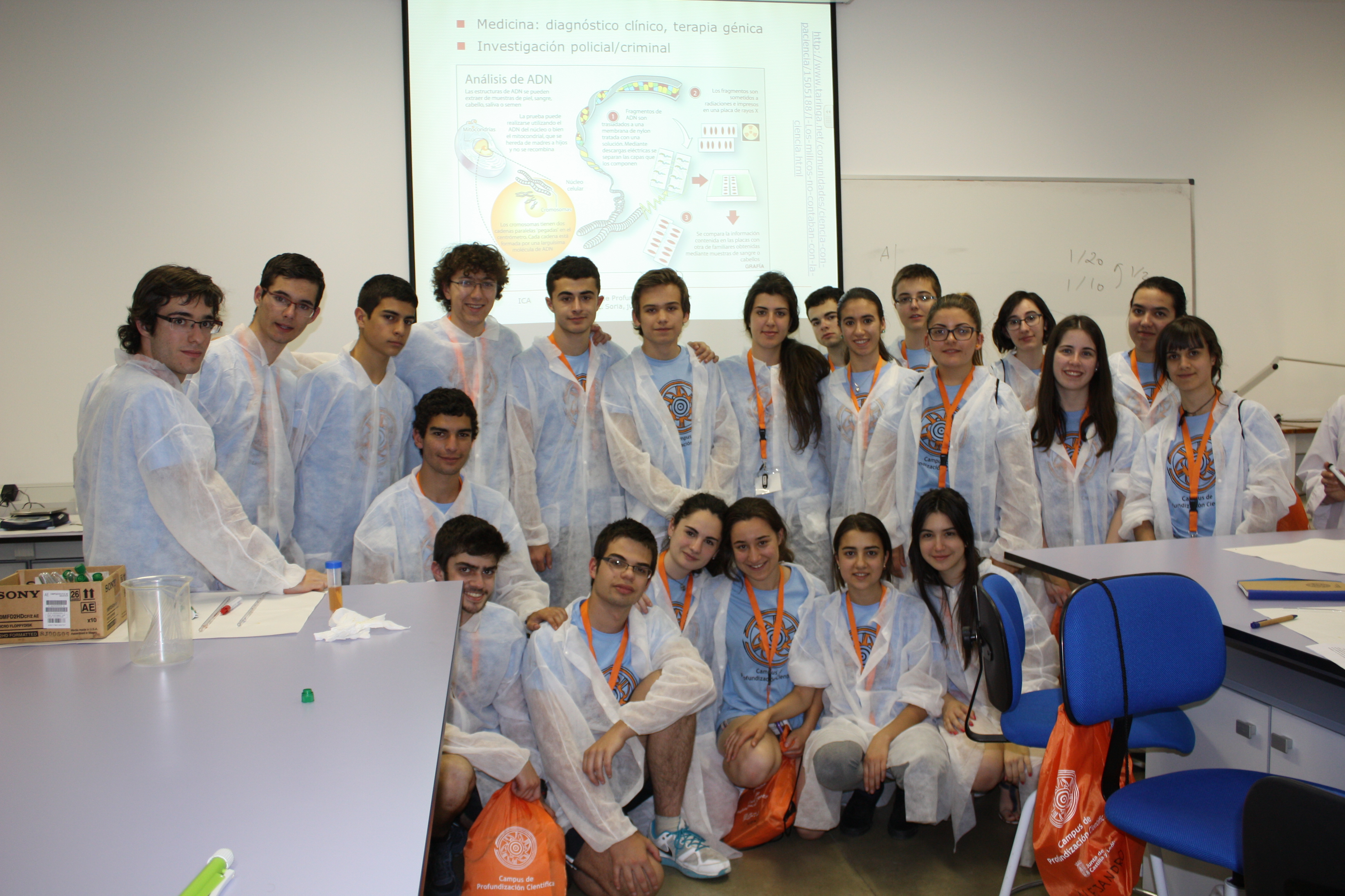 imagen 15