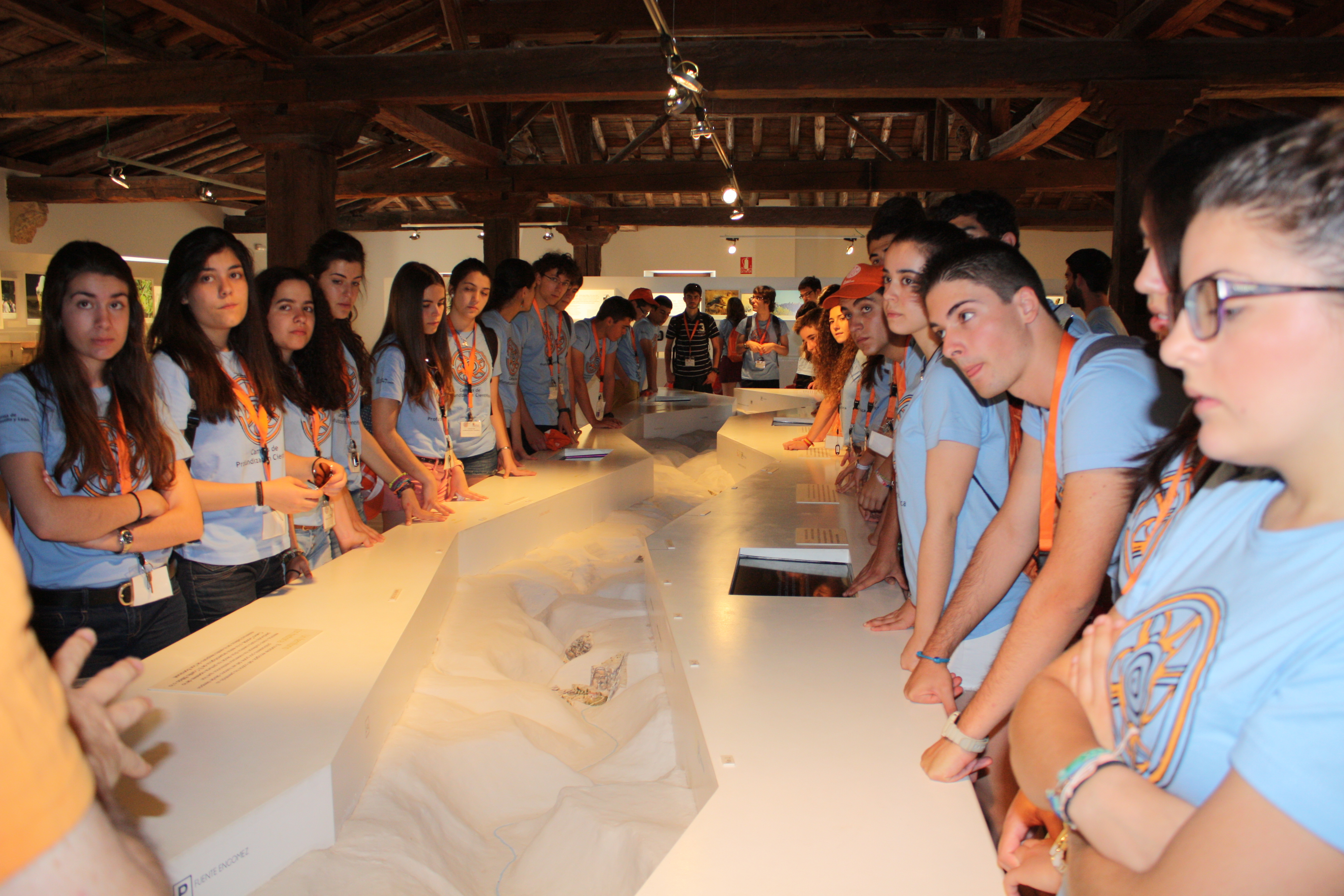 imagen 20