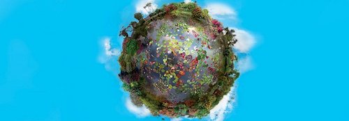 solutions-globales_500