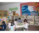 CEIP Pío del Río Hortega. Portillo