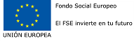 Logo FSE-2