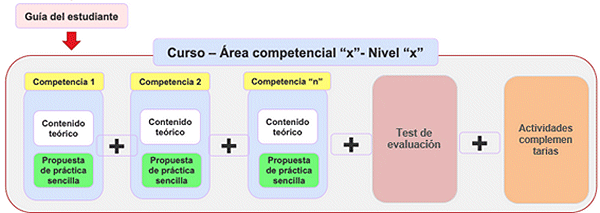 estructura curso