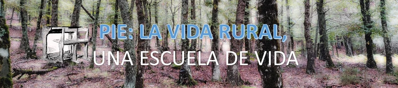 PIE Escuela Rural