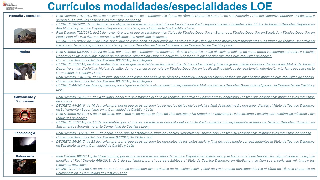 CURRÍCULOS LOE